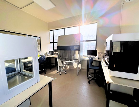 5a093b10-5f1a-4162-8193-63050ce356e0